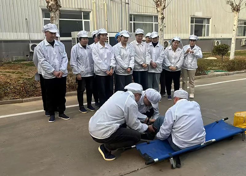 Qufu TEMB Automotive Electric Conducts "Work Safety Month" Campaign to Strengthen Safety Defenses