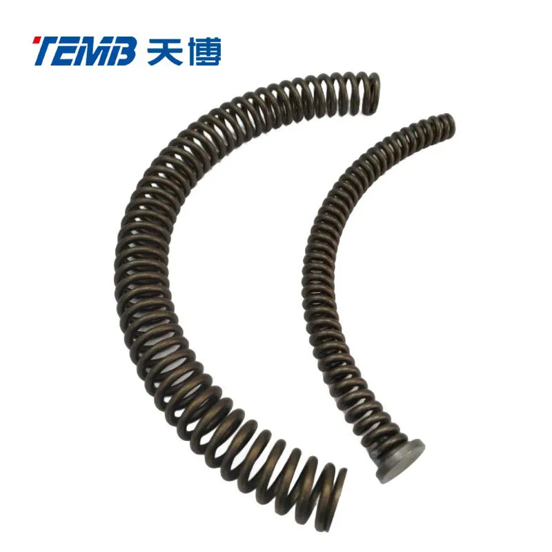 Curve Arc Spring for Double Mass Flywheel