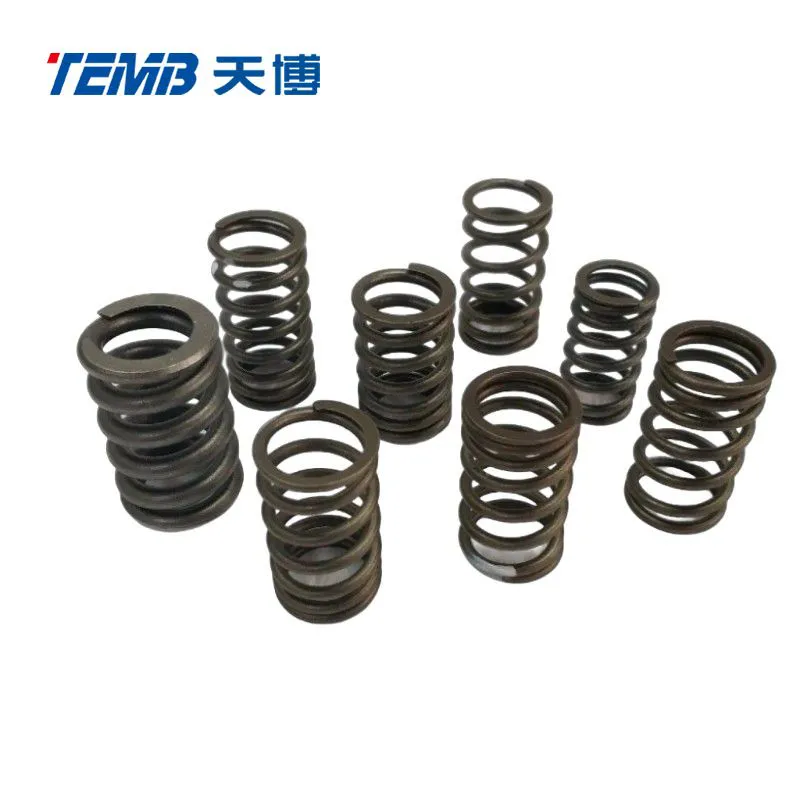 Engine Valve Spring