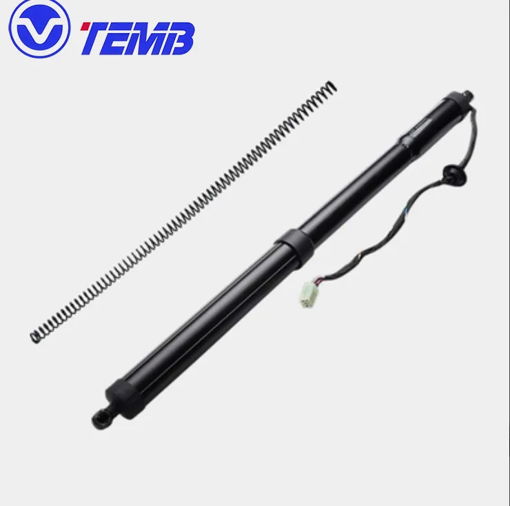 HW001 Automotive Tailgate-Specific Silent Flocked Spring